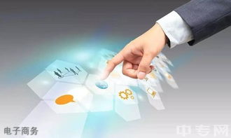 四川九洲技師學(xué)院電子商務(wù)專(zhuān)業(yè)招生 電子商務(wù)技術(shù)方向詳解